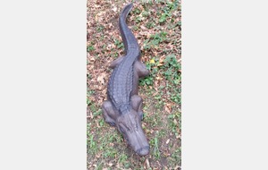 INITIATION TIR 3D AU JARDIN D'ARC