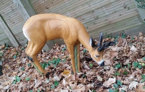 INITIATION AU TIR 3D AU JARDIN D'ARC