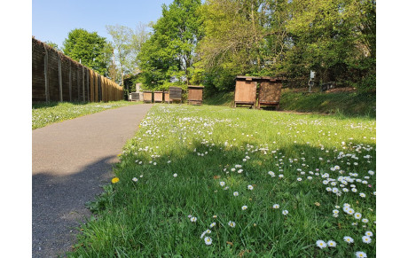 CHAVILLE TIR A L'ARC - Infos "confinement" 2